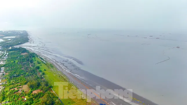 Lộ diện 'siêu' đô thị lấn biển Cần Giờ ảnh 22