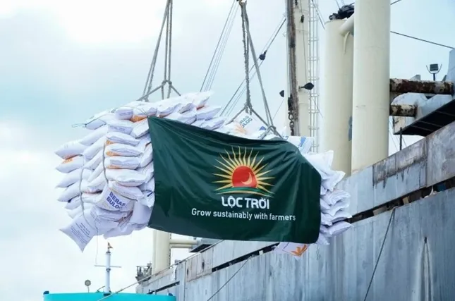 Xáo trộn nhân sự cấp cao VNG trước đại hội cổ đông ảnh 3