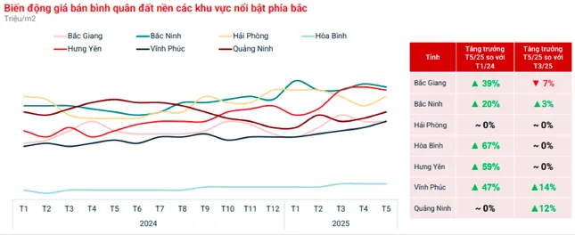Đất nền giảm tốc, nhà đầu tư đang quay về chọn phân khúc có tính an toàn ảnh 1