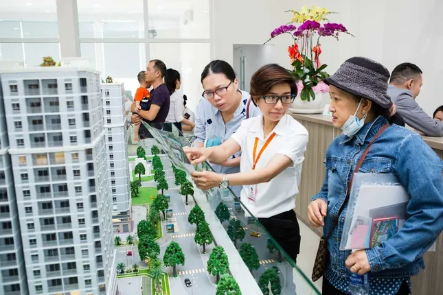 Doanh nghiệp bất động sản chống dịch Covid-19 với một 'cơ thể' yếu ớt ảnh 2