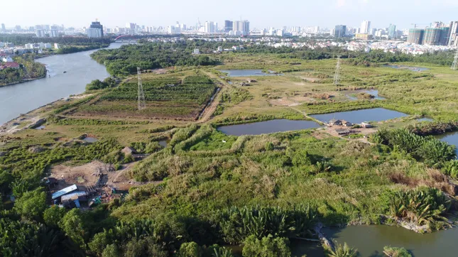 Quốc Cường Gia Lai sa lầy ở dự án Bắc Phước Kiển, nguy cơ bị thu hồi ảnh 1