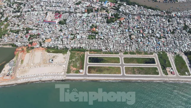 Lùm xùm về siêu dự án 123 ha ở Bình Thuận giao đất 'thần tốc' ảnh 2