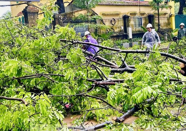 Dự báo có 8 - 10 đợt nắng nóng và 1 – 2 cơn bão ảnh hưởng đến Hà Nội ảnh 1