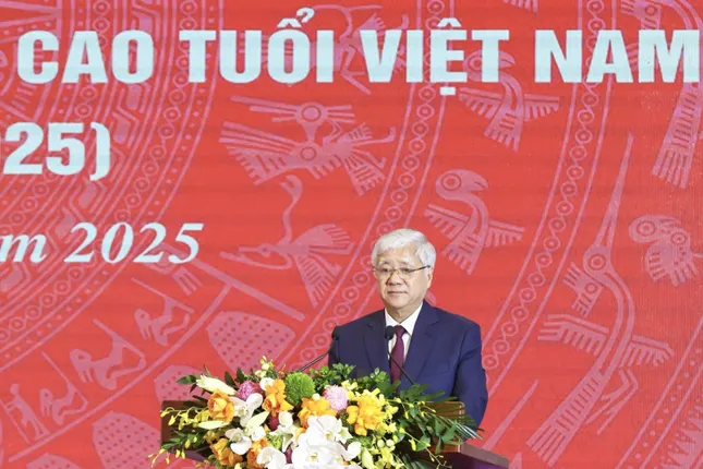 Hội Người cao tuổi Việt Nam cần chủ động sắp xếp, kiện toàn, tinh gọn tổ chức ảnh 1