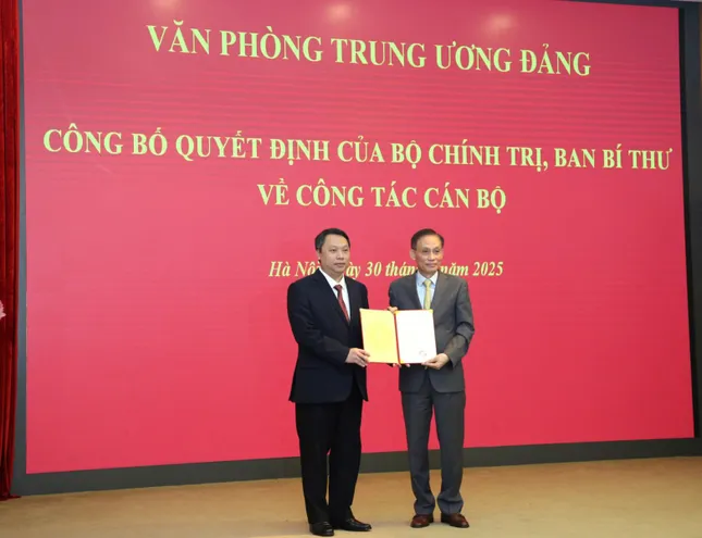 Triển khai các quyết định của Bộ Chính trị về công tác cán bộ ảnh 4