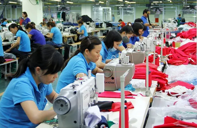 Tất cả lao động từ 16 tuổi đều được 'định danh' trong dữ liệu quốc gia ảnh 1