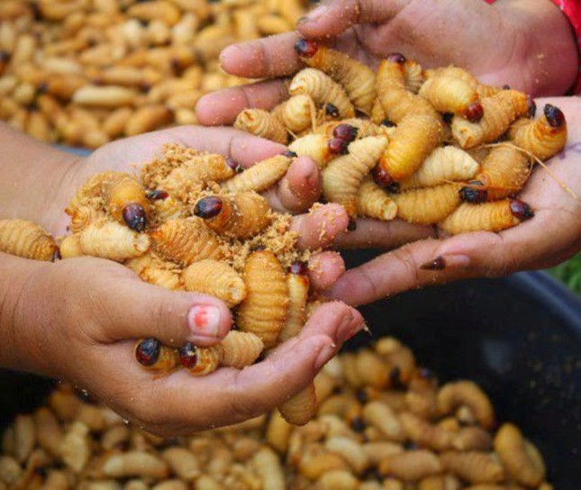 Cấm mặc cấm, đuông dừa vẫn bày bán vô tư trên vỉa hè ảnh 2