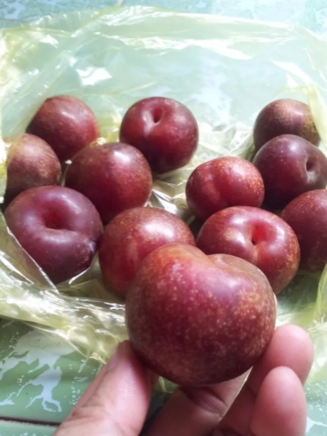 Mận hậu giá rẻ bán ngập chợ Sài Gòn ảnh 3