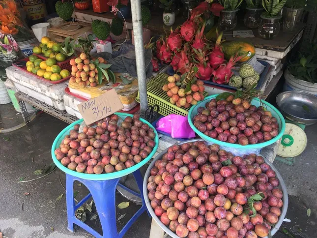 Mận hậu giá rẻ bán ngập chợ Sài Gòn ảnh 2