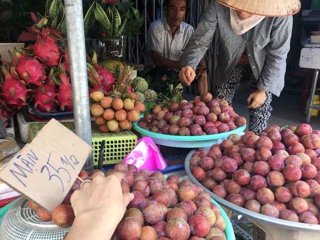 Mận hậu giá rẻ bán ngập chợ Sài Gòn ảnh 1