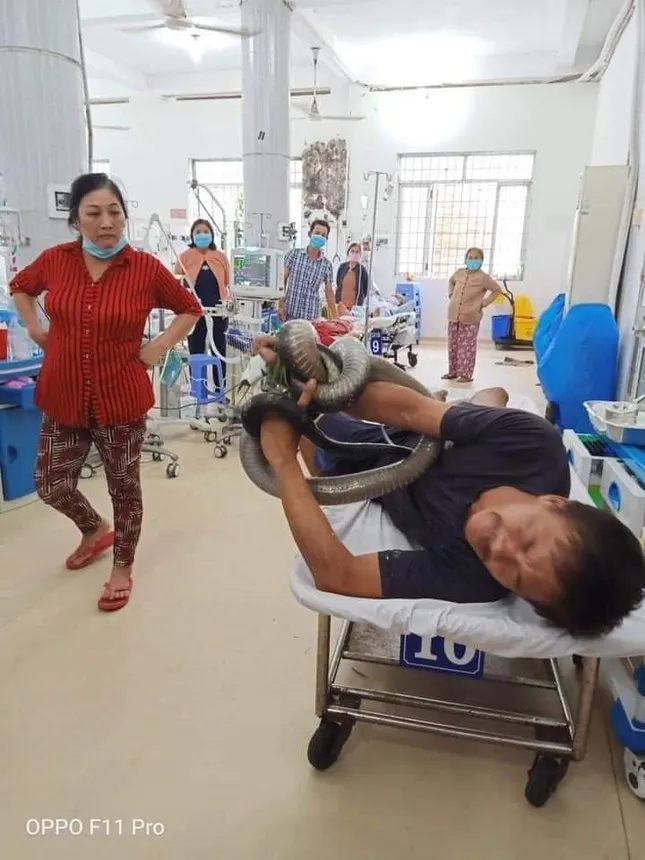 Dùng tay bắt rắn hổ chúa dài 2,5 mét, người đàn ông 'thập tử nhất sinh' ảnh 1