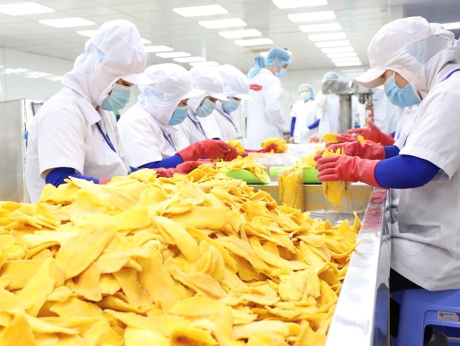 Doanh nghiệp vật vã trong nắng hạn vừa gặp 'cơn mưa rào' ảnh 2