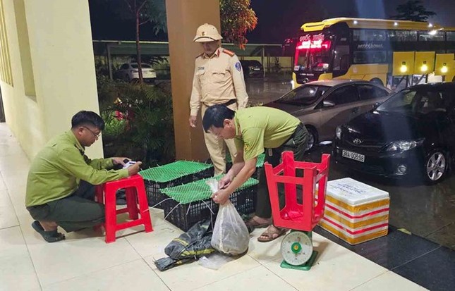 Xe khách vận chuyển động vật hoang dã trái phép ảnh 1