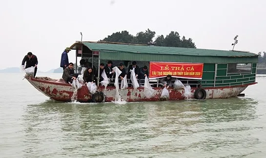 Lãnh đạo tỉnh Hà Tĩnh nói gì về vụ 10 tạ cá mè bị chết ở cửa xả nước hồ Kẻ Gỗ ảnh 2