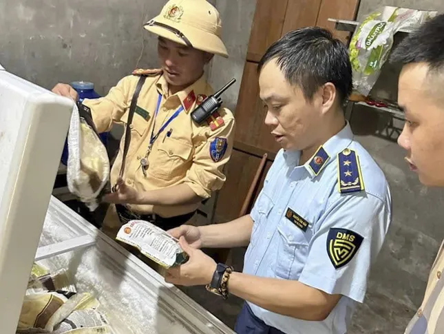 Phát hiện xe tải chở 29 con trâu không rõ nguồn gốc ảnh 3