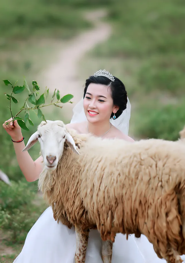 Ngắm 25 thí sinh đẹp nhất Hoa khôi Sinh viên Hà Nội 2016 ảnh 23