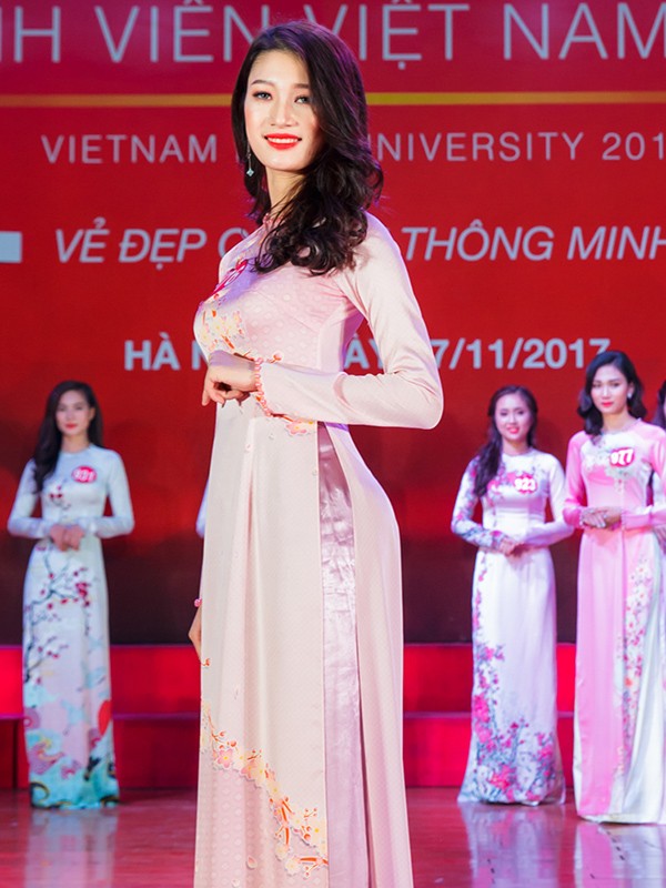 Nhan sắc 45 thí sinh Chung kết Hoa khôi Sinh viên Việt Nam 2017 ảnh 37