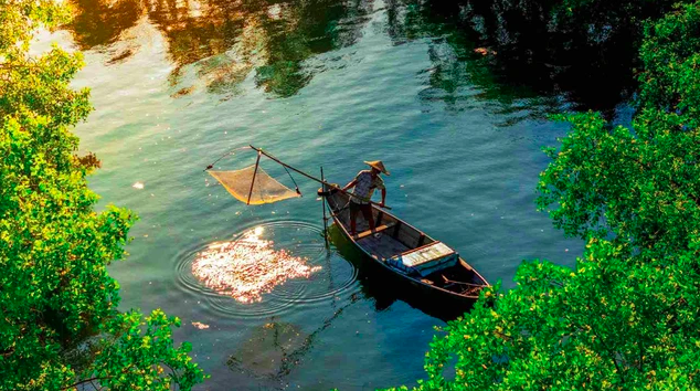 Hồi sinh những lá phổi xanh ảnh 2