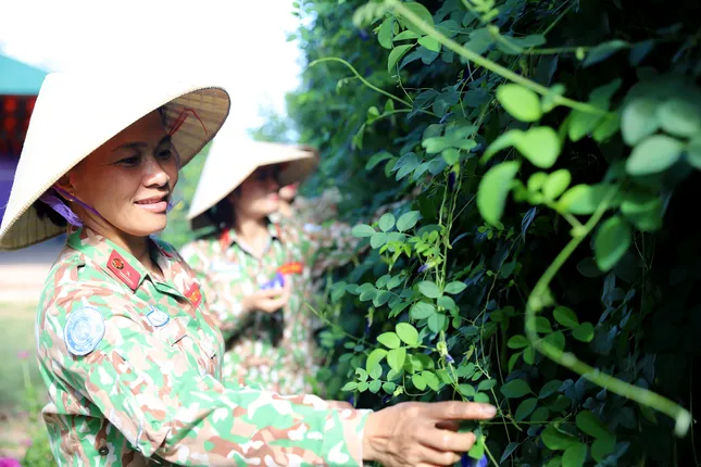 Nữ đại uý công binh Việt Nam lan toả màu xanh ở phái bộ UNISFA ảnh 8