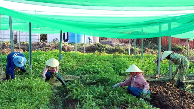 Nữ đại uý công binh Việt Nam lan toả màu xanh ở phái bộ UNISFA ảnh 10