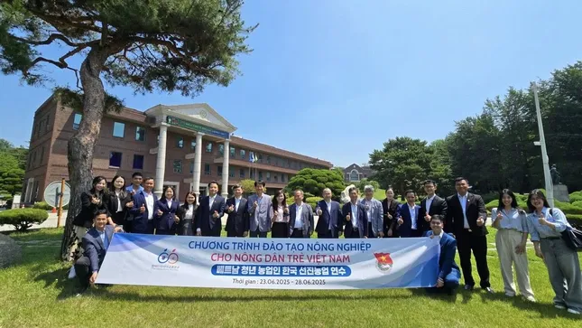 Thanh niên Việt Nam tham dự chương trình đào tạo nông nghiệp tiên tiến, giao lưu tại Hàn Quốc ảnh 2