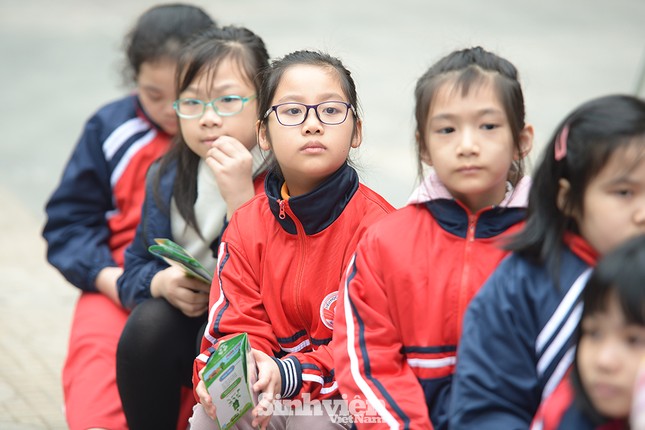 Phát động chương trình “Vì mái trường xanh” lần thứ hai ảnh 4