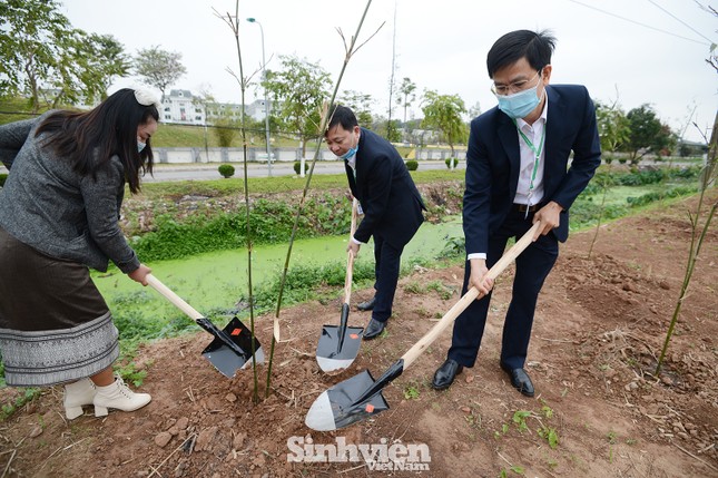 Sinh viên, giảng viên Học viện Nông nghiệp Việt Nam hưởng ứng trồng 5.000 cây xanh ảnh 5