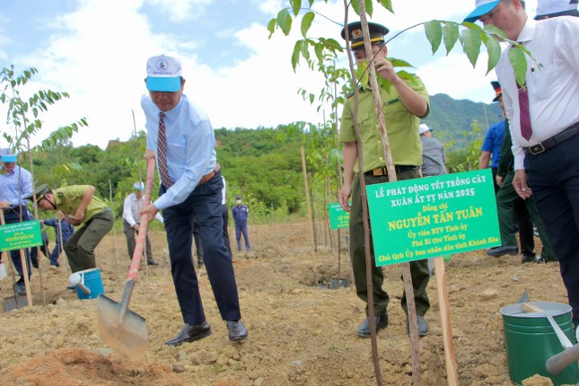 Nhiều tỉnh thành phát động 'Tết trồng cây' ngày đầu khai xuân ảnh 9