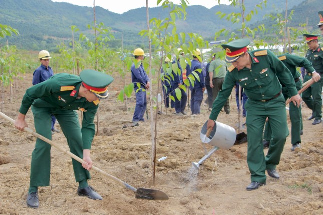 Nhiều tỉnh thành phát động 'Tết trồng cây' ngày đầu khai xuân ảnh 10