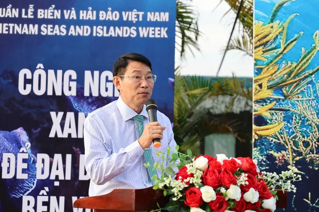 'Tuyệt chiêu' tái tạo nguồn lợi thủy sản trên vịnh Nha Trang ảnh 2