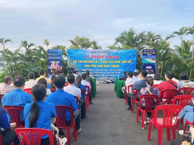 'Tuyệt chiêu' tái tạo nguồn lợi thủy sản trên vịnh Nha Trang ảnh 1