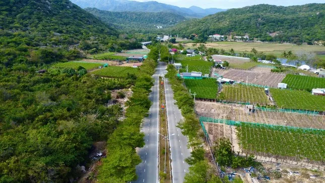 Người dân vùng dự án điện hạt nhân Ninh Thuận được hỗ trợ gì khi thu hồi đất? ảnh 2