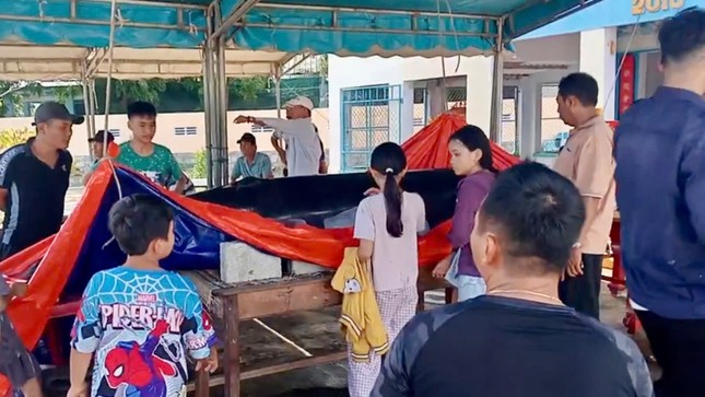 Cá voi dài 4m, nặng gần 1 tấn trôi dạt vào bờ biển Ninh Thuận ảnh 2
