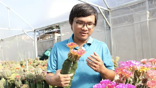Ngắm vườn hoa xương rồng rực rỡ của kỹ sư công nghệ 9x Khánh Hòa ảnh 4
