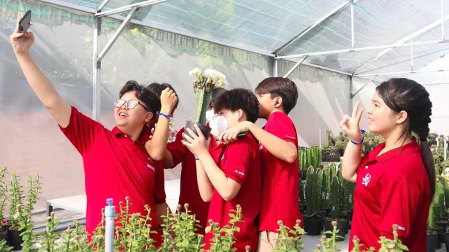 Ngắm vườn hoa xương rồng rực rỡ của kỹ sư công nghệ 9x Khánh Hòa ảnh 5