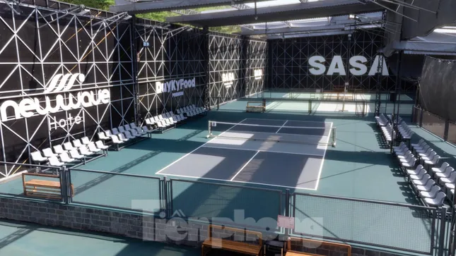 Nhiều nghệ sĩ nổi tiếng hội ngộ tại giải đấu pickleball ở Vũng Tàu ảnh 2