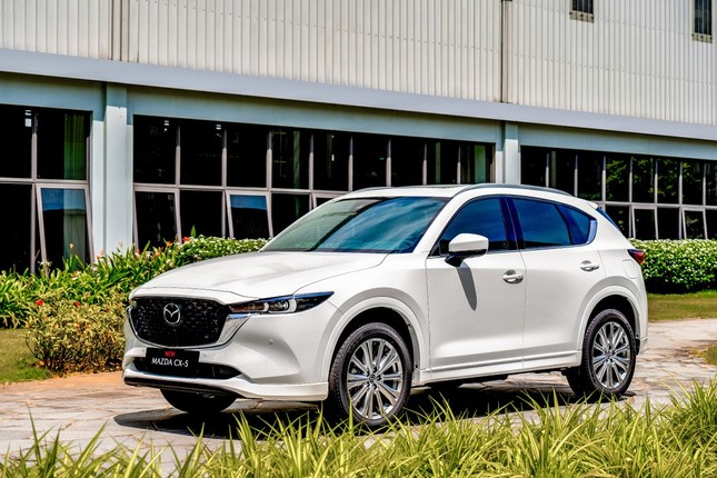 Phân khúc SUV cỡ C tại Việt Nam tăng sức nóng ảnh 2