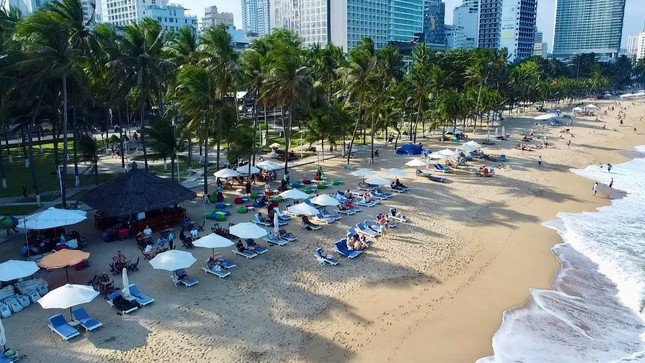 Nhiều người bị sứa lửa 'tấn công' khi tắm biển Nha Trang ảnh 2
