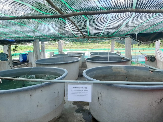 Chi bạc tỷ làm đề tài khoa học nhưng không dùng được ảnh 1