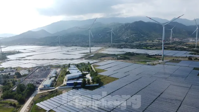 Cựu cục phó cục thuế bị khởi tố vì không truy thu 73 tỷ đồng của 2 doanh nghiệp điện mặt trời ảnh 1