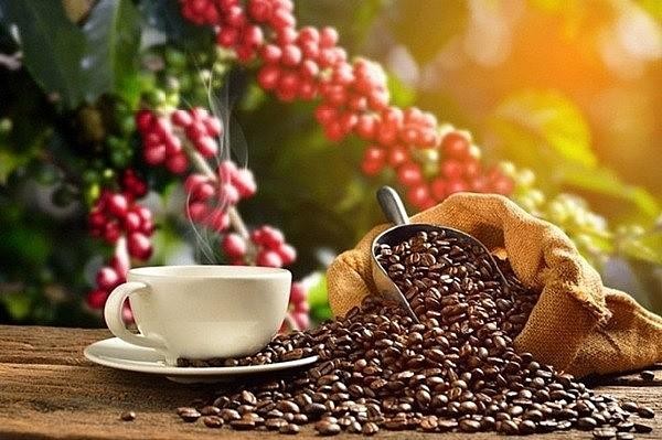 Quốc gia nào sản xuất cà phê nhiều nhất thế giới?