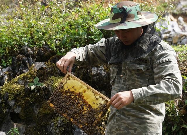 Nước sản xuất nhiều mật ong nhất thế giới?