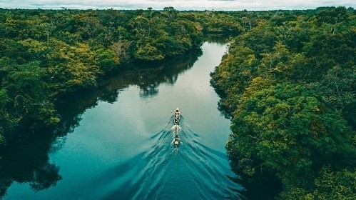 Là con sông có lưu vực rộng nhất thế giới, thế nhưng không hề có một cây cầu nào bắc qua. Điều này đúng hay sai?