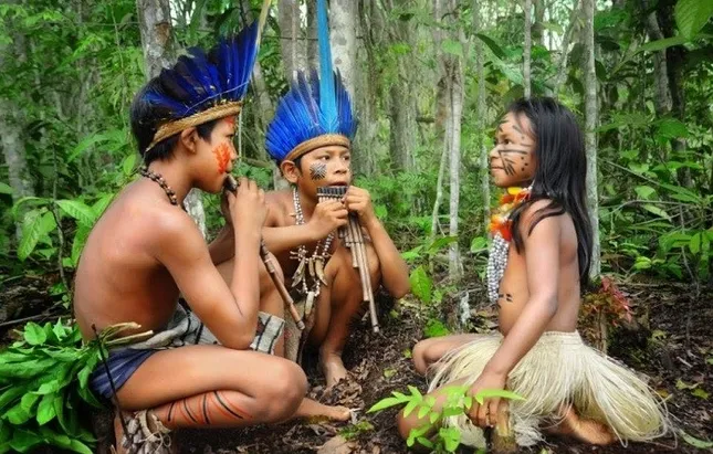 Người Pirahã không hề có khái niệm về những con số lớn hơn 2? Điều này đúng hay sai?