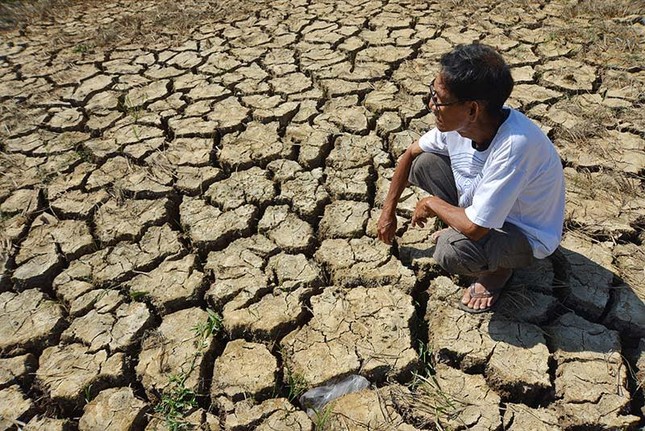 Đầu thế kỷ 21, Việt Nam gánh chịu đợt hạn hán kinh khủng vào năm nào?