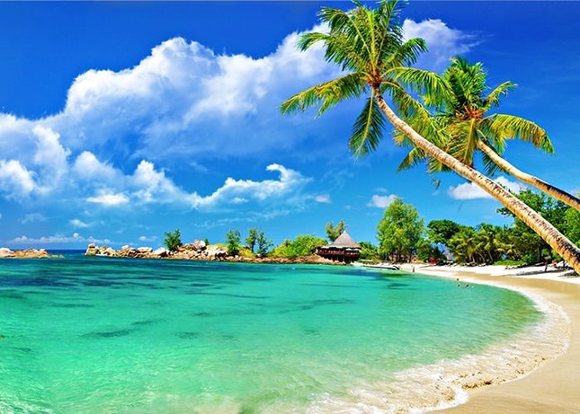 Hai tỉnh nào là điểm đầu và điểm cuối đường bờ biển nước ta?