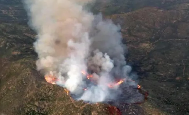 Đám cháy Yarnell, Arizona (2013) đã khiến bao lính cứu hỏa thiệt mạng?