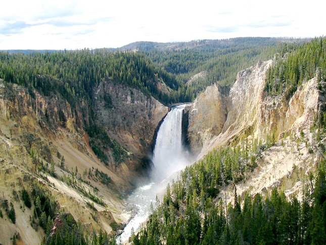 Đám cháy Yellowstone (1988) khiến bao nhiêu % đất của công viên Quốc gia Yellowstone- Mỹ bị ảnh hưởng?