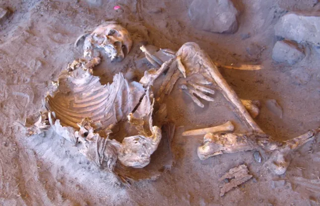 What is the oldest mummy in the world found in the Sahara Desert?