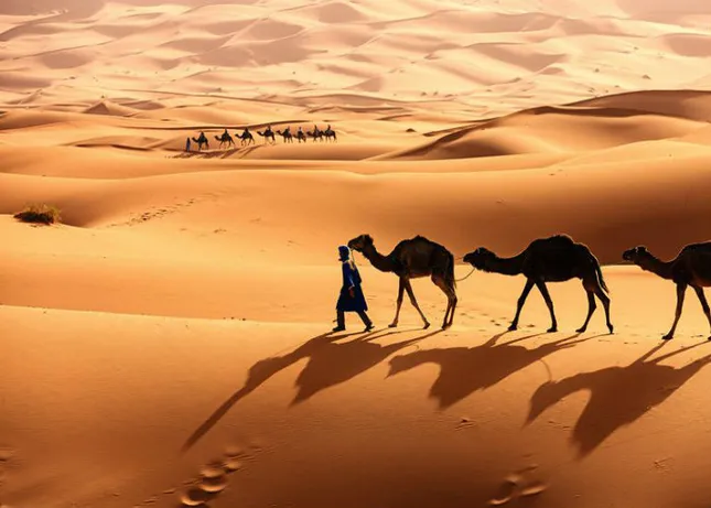 Is the Sahara the largest desert in the world?